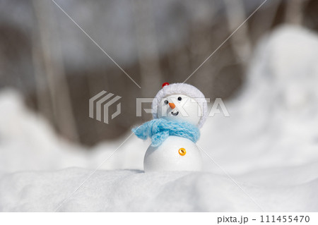 白樺の林と雪だるま 111455470