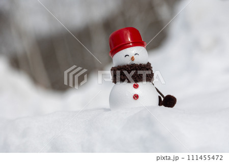 白樺の林と雪だるま 111455472