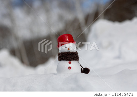 白樺の林と雪だるま 111455473