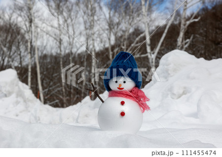 白樺の林と雪だるま 111455474