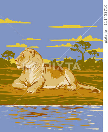Lioness in Hwange National Park Zimbabwe Africa Art Deco WPA Poster Art 111455710