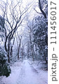 雑木林の雪道 111456017