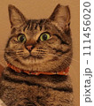 目を見開いている毛膨れした猫 111456020