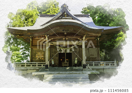 水彩画風　越中八尾　杉原神社　本殿　富山県富山市 111456085