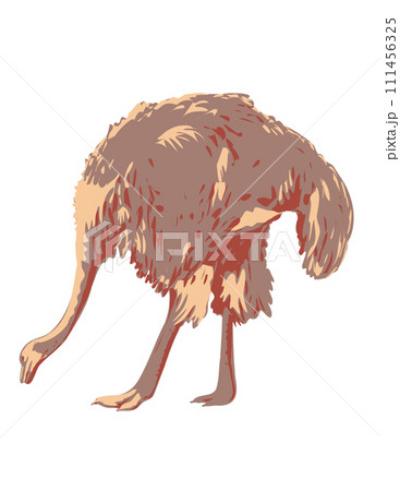 Common Ostrich or Somali Ostrich Side View Isolated Art Deco WPA Poster Art 111456325