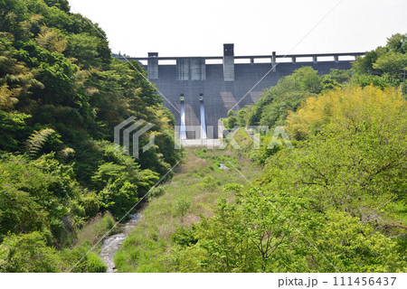 小山ダム 2023-5-21 #36 小山ダム 2023-5-21 #36 111456437