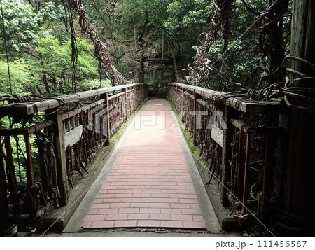 兵庫県神戸市の北、布引山の谷間を流れる生田川で布引の滝、雌滝、鼓滝、雄滝、夫婦滝などがある布引渓流 兵庫県神戸市の北、布引山の谷間を流れる生田川で布引の滝、雌滝、鼓滝、雄滝、夫婦滝などがある布引渓流 111456587