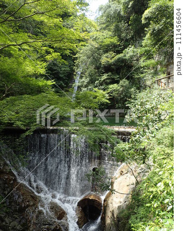 兵庫県神戸市の北、布引山の谷間を流れる生田川で布引の滝、雌滝、鼓滝、雄滝、夫婦滝などがある布引渓流 兵庫県神戸市の北、布引山の谷間を流れる生田川で布引の滝、雌滝、鼓滝、雄滝、夫婦滝などがある布引渓流 111456604