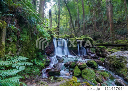 静寂に包まれた瓜割の滝の情景 静寂に包まれた瓜割の滝の情景 111457044