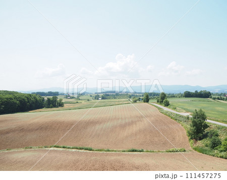 美瑛の美しい初夏の田園風景 111457275