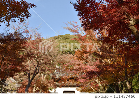 秋の琴坂と興聖寺山門　宇治 111457460