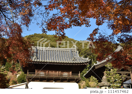 秋の琴坂と興聖寺山門　宇治 111457462