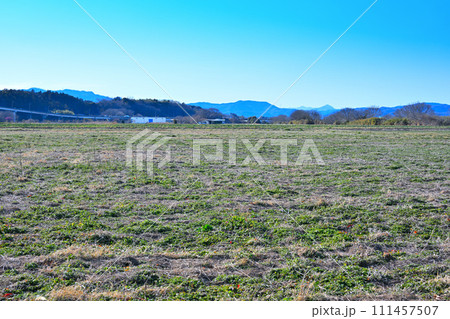 広々とした田園風景 農耕地 冬景色 広々とした田園風景 農耕地 冬景色 111457507