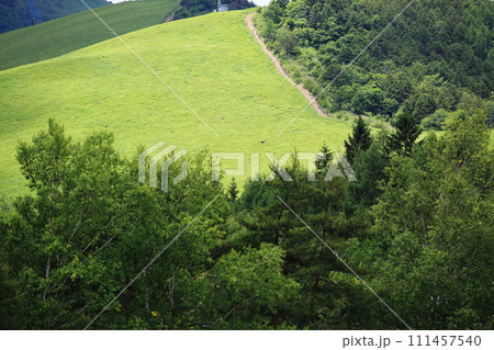 夏のビーナスライン 夏のビーナスライン 111457540