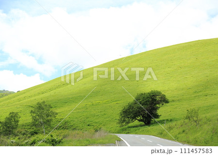 夏のビーナスライン 111457583