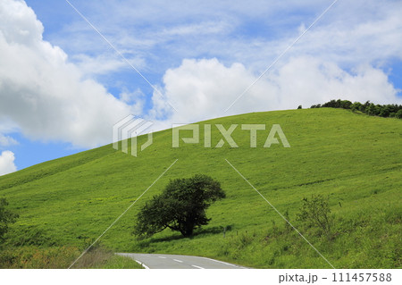 夏のビーナスライン 111457588