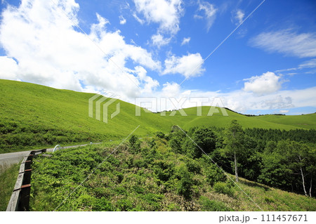夏のビーナスライン 111457671