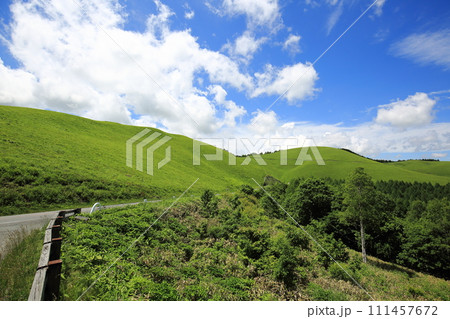 夏のビーナスライン 夏のビーナスライン 111457672