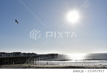 南カリフォルニア 南カリフォルニア 111457917