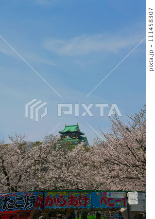 【大阪府】3月・観光客で賑わう桜満開の大阪城公園 【大阪府】3月・観光客で賑わう桜満開の大阪城公園 111458307