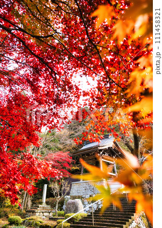 岐阜で出会えた素敵な秋景色 岐阜で出会えた素敵な秋景色 111458321