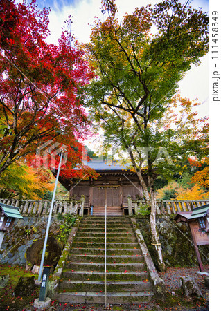 岐阜 長彦神社の紅葉 岐阜 長彦神社の紅葉 111458349