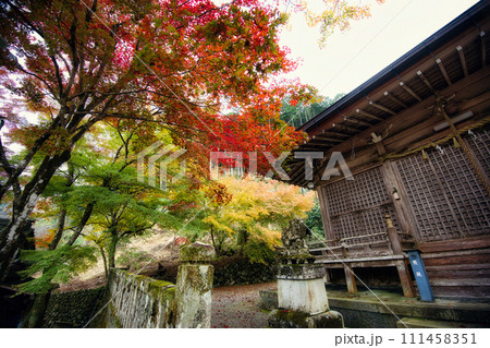 岐阜　長彦神社の紅葉 111458351