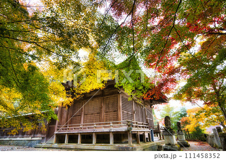 岐阜 長彦神社の紅葉 岐阜 長彦神社の紅葉 111458352