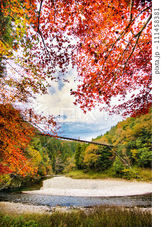 紅葉の名所　岐阜　多良峡森林公園の吊り橋 111458381