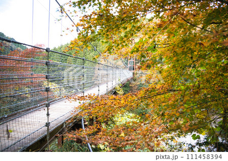 紅葉の名所　岐阜　多良峡森林公園の吊り橋 111458394