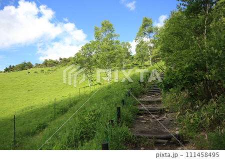 夏の車山高原 夏の車山高原 111458495