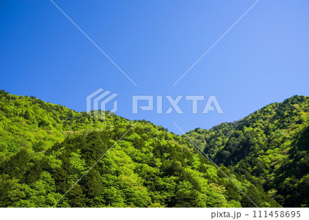 《新緑イメージ》新緑と青空の爽やかな風景 《新緑イメージ》新緑と青空の爽やかな風景 111458695