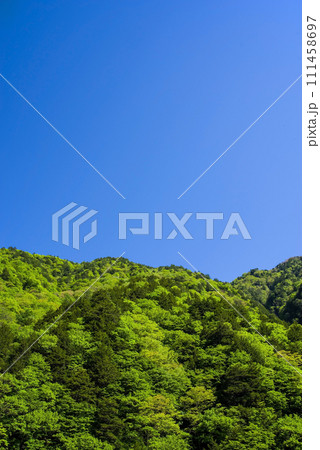 《新緑イメージ》新緑と青空の爽やかな風景 111458697