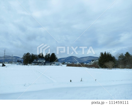 雪に埋もれた畑 111459111