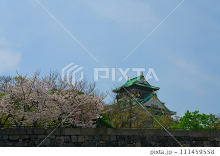 【大阪府】3月・休日に桜満開の大阪城公園を家族で観光 111459558