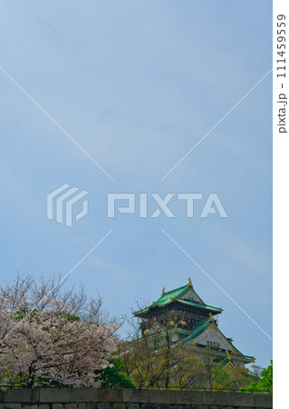 【大阪府】3月・休日に桜満開の大阪城公園を家族で観光 111459559