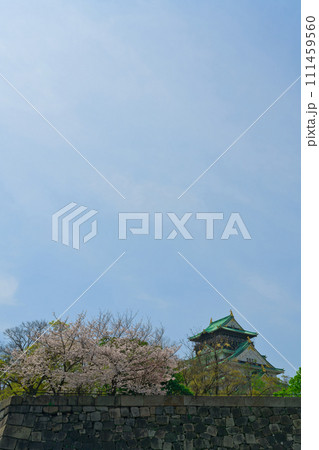 【大阪府】3月・休日に桜満開の大阪城公園を家族で観光 111459560