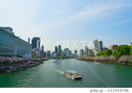 【大阪府】3月・満開の桜と大阪の街並み 【大阪府】3月・満開の桜と大阪の街並み 111459796