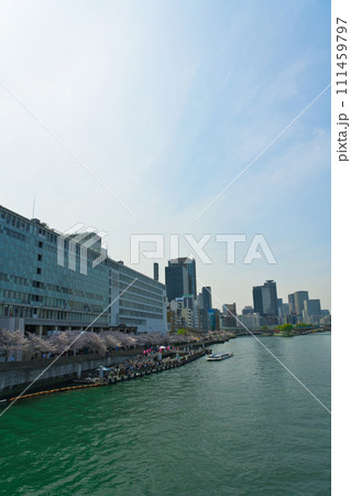 【大阪府】3月・満開の桜と大阪の街並み 111459797