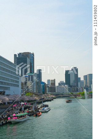 【大阪府】3月・満開の桜と大阪の街並み 【大阪府】3月・満開の桜と大阪の街並み 111459802