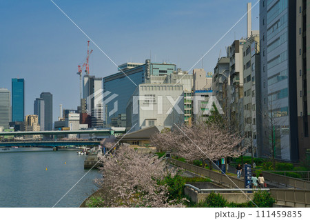 【大阪府】3月・満開の桜と大阪の街並み 111459835