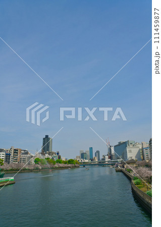 【大阪府】3月・桜満開の都市風景 111459877