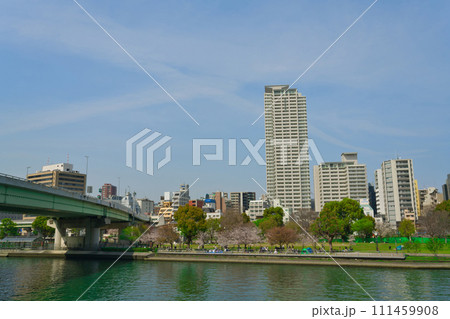 【大阪府】3月・桜満開の都市風景 111459908