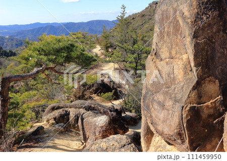 湖南アルプス堂山の登山道 111459950