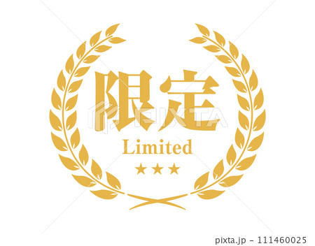 限定アイコン リース ベクターイラスト 111460025
