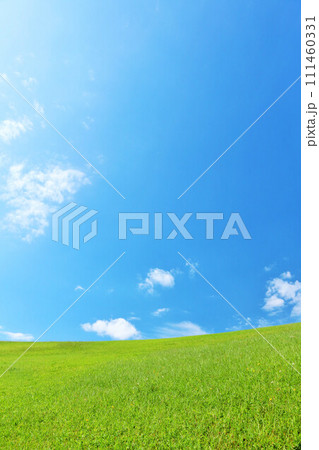 爽やかな夏の青空と新緑の草原風景 111460331