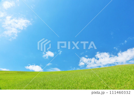 爽やかな夏の青空と新緑の草原風景 111460332