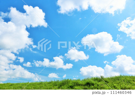 爽やかな夏の青空と新緑の草原風景 111460346