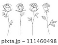 シンプルなラインのバラのイラスト　 111460498