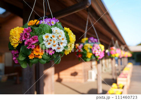 吊り下げプランターの花 111460723